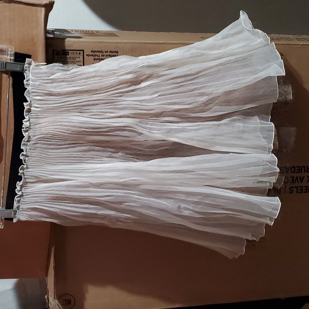 Sz 6 Initially Priced at $2275 Valentino plisse skirt
